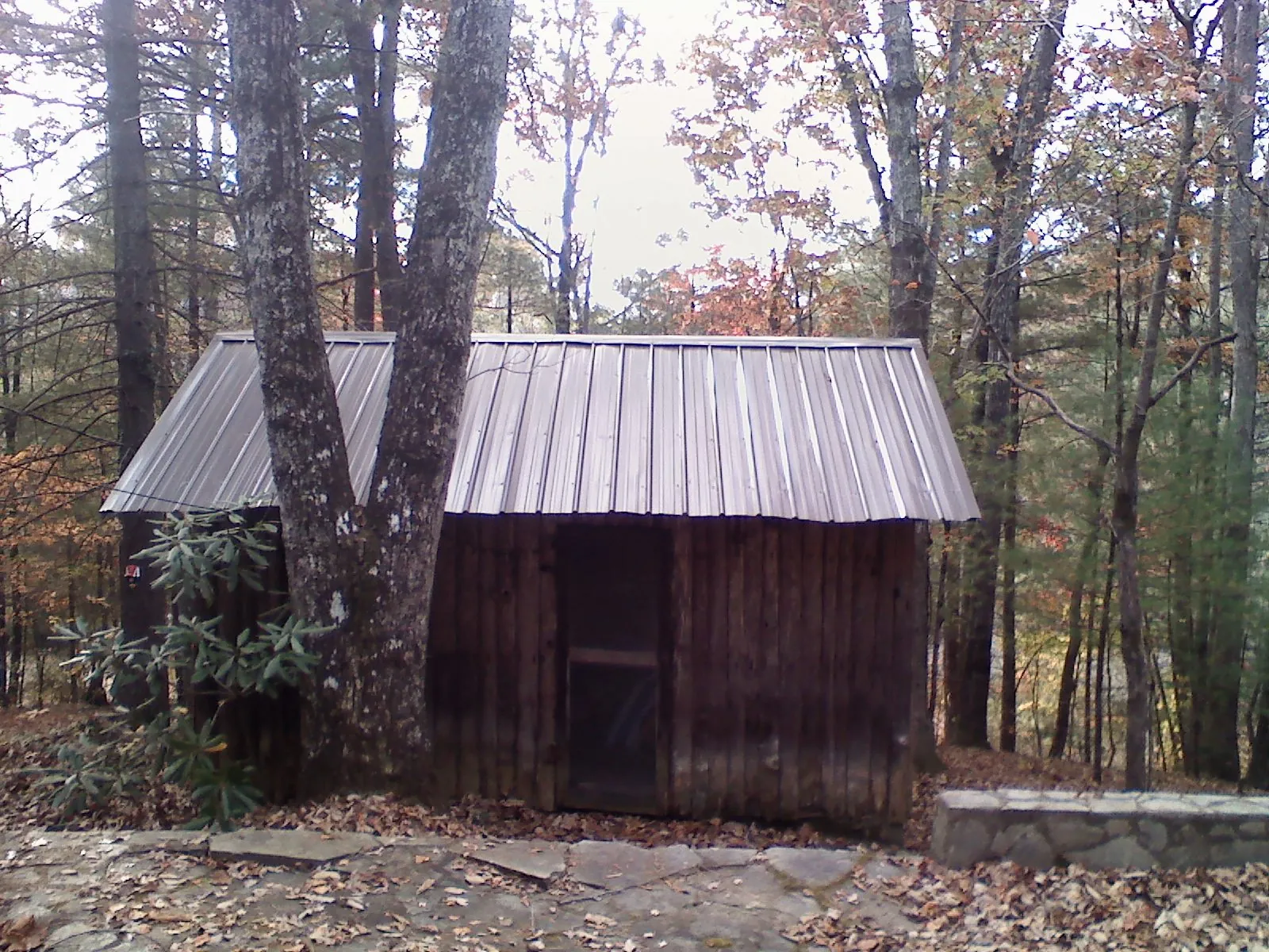 New metal gable roof on a small log shed among the trees in Norwell